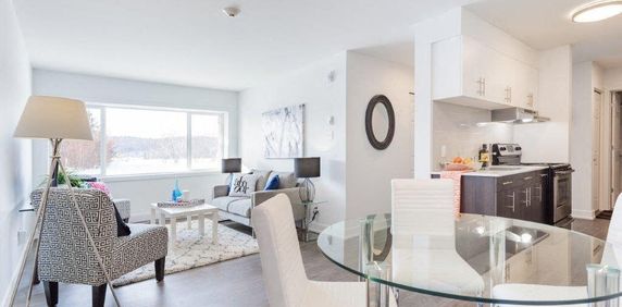 2 chambres - 420 Blvd Cité Des Jeunes, Gatineau - Photo 2