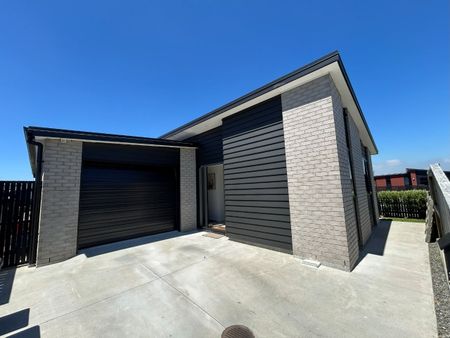 Bronze Delight - Papamoa - Photo 4