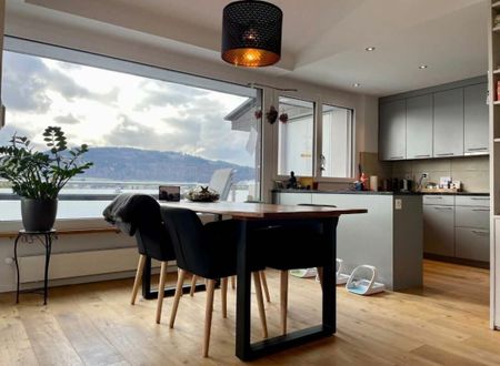 Modern 6.5 Zr. apartment with terrace and wonderful distant view - Foto 4