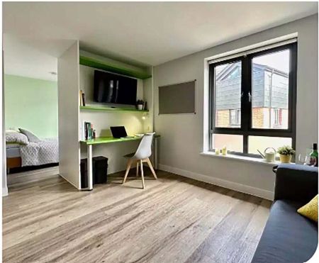 Premium Apartment - Photo 5