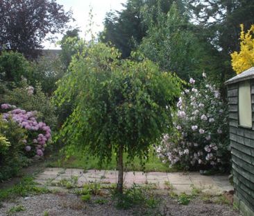 Princes Street North, St Thomas - Photo 6