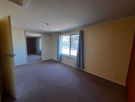 Unit 13 Palm Lodge (corner Barry & Dennis Street) - Photo 4