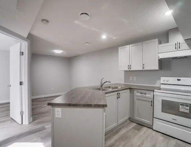 New 1Bedrm Suite--Move-In Ready--Pet Friendly...All Credit Scores Welcomed | 27 Ebbers Close, Edmonton - Photo 1