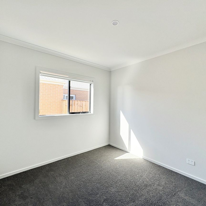 Brand New Comfort & Style in Charlemont - Photo 1