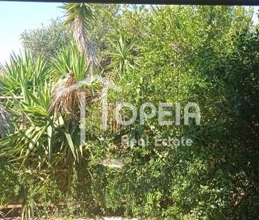 Μονοκατοικία για ενοικίαση Λαγονήσι (Καλύβια Θορικού) - Photo 3