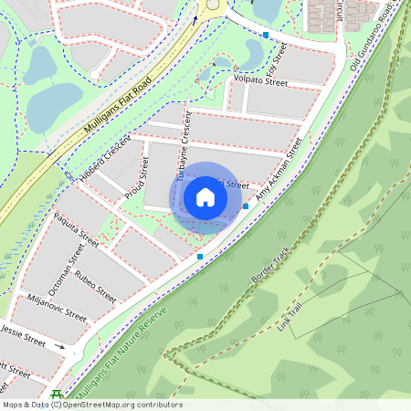 10 Turbayne Crescent, Forde ACT 2914