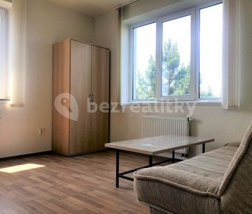 Pronájem bytu 1+kk • 20 m² bez realitkyU Křížku, Průhonice - Průhon... - Fotografie 2