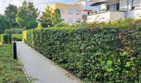 Tolle 2,5-Zimmer-Wohnung im Neubau mit Balkon - Foto 3