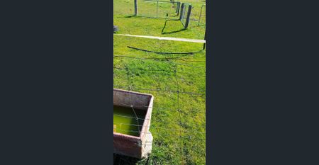 9 Acres land with Services - Hamilton - Photo 4