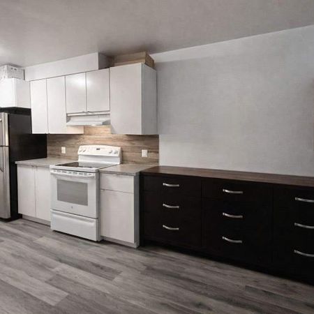 2 CH - 1 SDB - Montréal - $1,540 /mo - Photo 3
