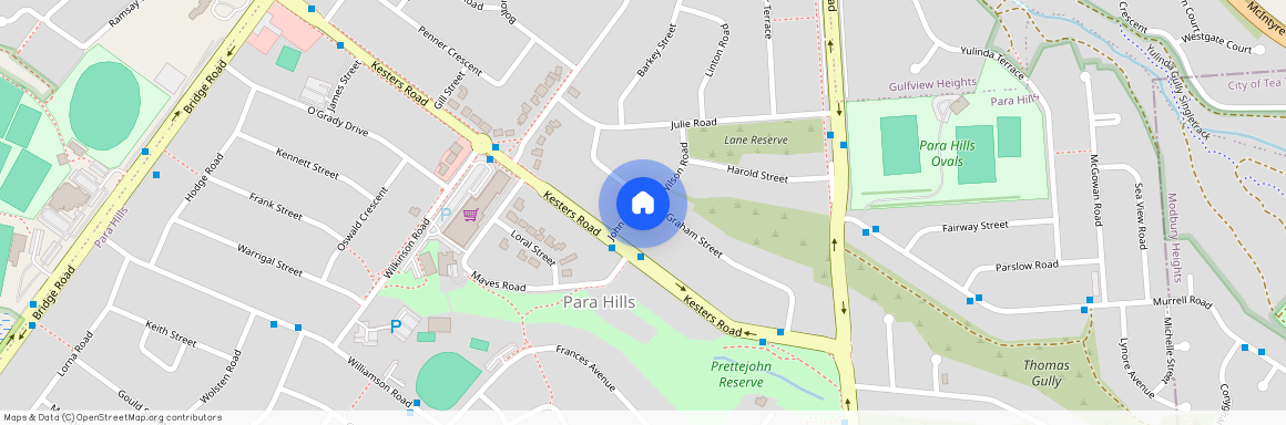 19 Graham Street, SA 5096, Para Hills