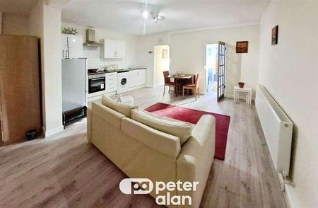 Hanover Street, Swansea, SA1 - Photo 3