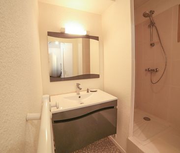 Location Appartement 1 pièce 27m² MONT ST AIGNAN 76130 - Photo 5