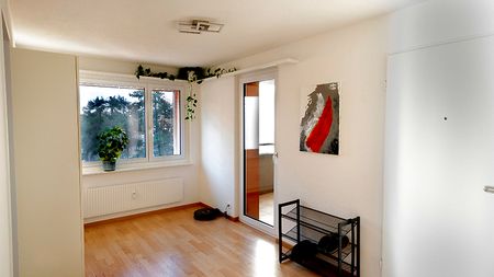 4½ Zimmer-Wohnung in Kreuzlingen (TG), möbliert, auf Zeit - Foto 3