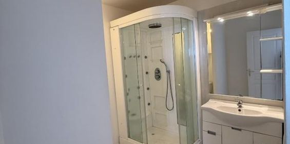 Location Appartement 1 pièce 28m² ST DENIS 97400 - Photo 3