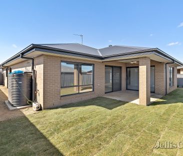 16 Armagh Street, Alfredton - Photo 6