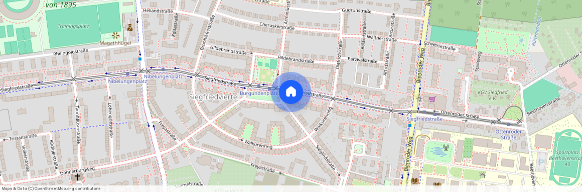 Siegfriedstr. 21, 38106, Braunschweig