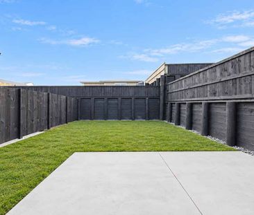 Stylish 2 Bedroom New Build in Morrinsville - Photo 3