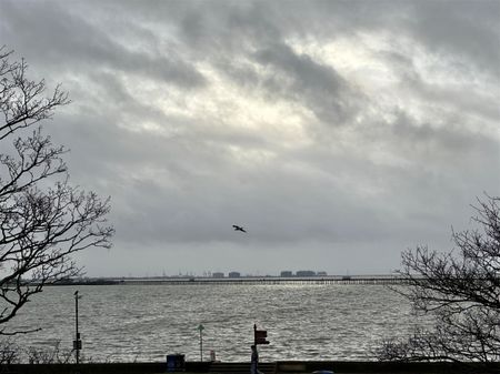 Eastern Esplanade, Southend-On-Sea - Photo 3