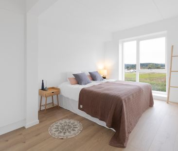 Hedvig Billes Top 14, 3.2 - Photo 5