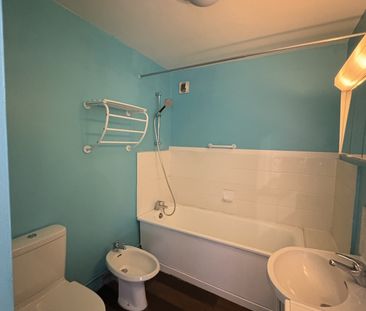Location Appartement 1 pièce 36m² PALAISEAU 91120 - Photo 4