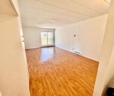 BEAU 4 1/2 Repeint, Gym, Piscines, Béton - Photo 3