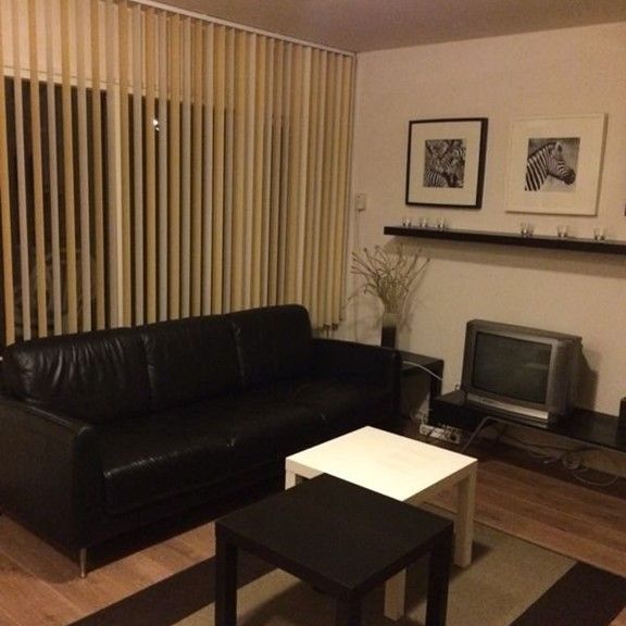Te huur: Compleet appartement met 1 slaapkamer en tuin, voor (net afgestudeerde) student(en) - Photo 1