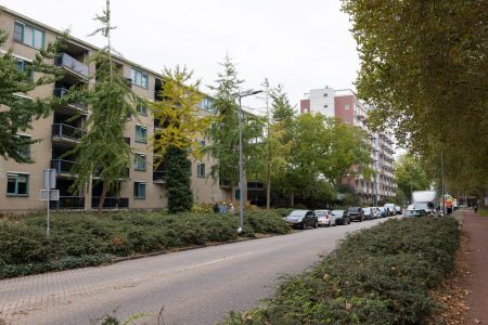Etienne de Bouterstraat 44, Het Lage Land, 3067AG, Rotterdam - Photo 5