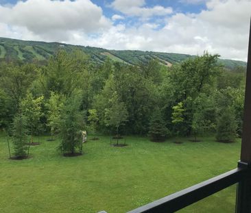 For Lease - 20 BECKWITH Lane Unit# 206, Blue Mountains, Ontario - Photo 2