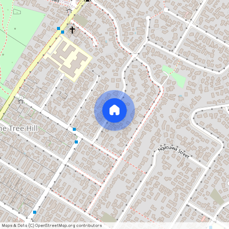 9 Kawau Road, Greenlane, Auckland City