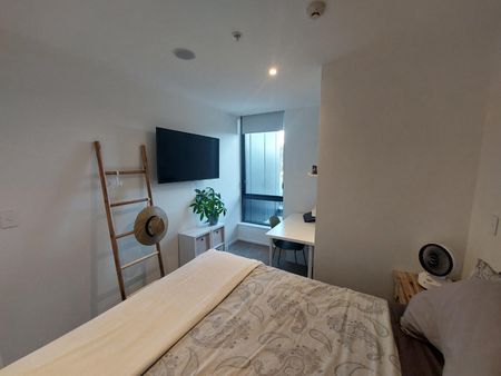 1 Bedroom mordern apartment - Handbag dog or Cat is welcome! - Photo 4