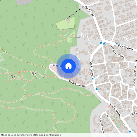 6616, Losone, Salita Bruglio, 2