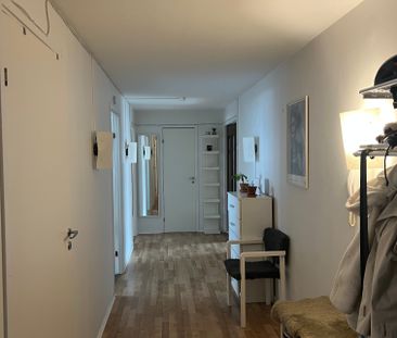Möllevångsgatan, Malmö - Foto 6