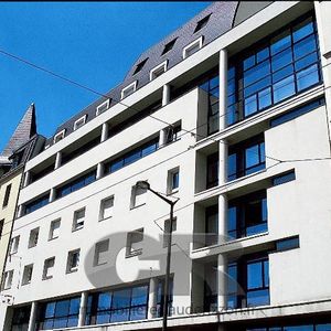 Location Appartement 1 pièce 18m² NANCY 54000 - Photo 2