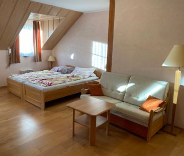 Pronájem bytu 2+1 58 m², Karlovy Vary - Photo 4