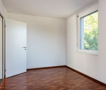 Vie moderne et lacustre - Votre recherche s’arrête ici - Photo 1