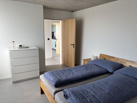 2-ROOM APARTMENT IN ERMATINGEN (TG), FURNISHED, TEMPORARY - Photo 5