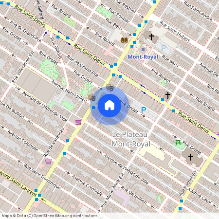 4459 - 4463 Av. Henri-Julien, apt. 4461, H2W2K9, Montréal (Le Plateau-Mont-Royal)