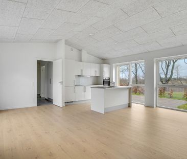 Velkommen til Rosmarinvej - Photo 5