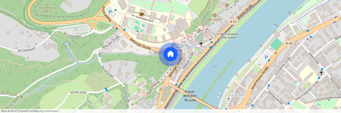 Mühlenweg 6, 54294 Trier