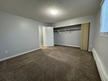 RENOVATED 1-Bedroom Apartment - SMALL PET FRIENDLY! - Photo 5