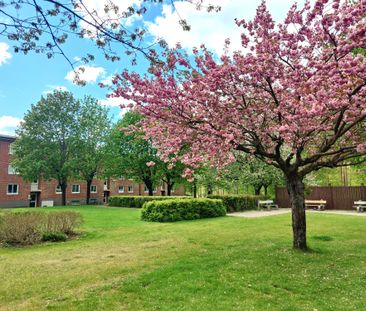 Sonnarpsvägen, Örkelljunga - Photo 5