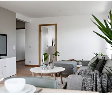 Parternas Gränd, Lund - Photo 3