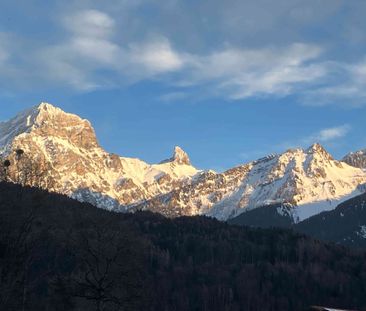 2.5 Zimmer, 45 m², EG - Foto 2