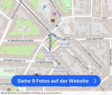 Ansprechende möblierte Wohnung im Herzen der Schweriner Paulsstadt - Foto 1