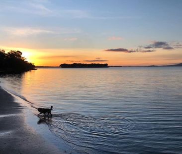 78 First View - Across the road from the Beach! - Photo 2