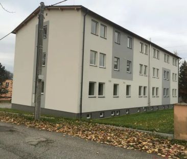 Byt 1+1, prostorný sklep, Topolová, Těrlciko - Photo 5