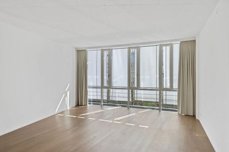 Living at Sihlhof, near the train station - Photo 4