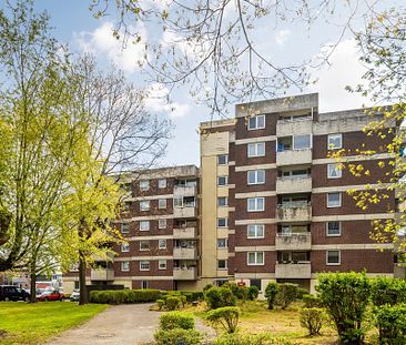 Ab 01.07.24 bezugsfrei! Gut geschnittene und zentral gelegene 2 ZKB-Wohnung in Nordenham Zentrum - Foto 3