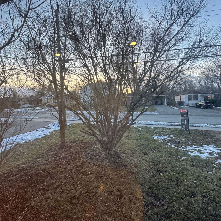 For Lease - 75 Bolton Avenue, Newmarket, Ontario - Photo 1